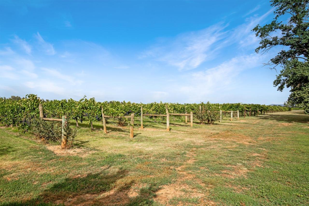 Milawa Vineyard Views - Guesthouse 1 Exterior foto