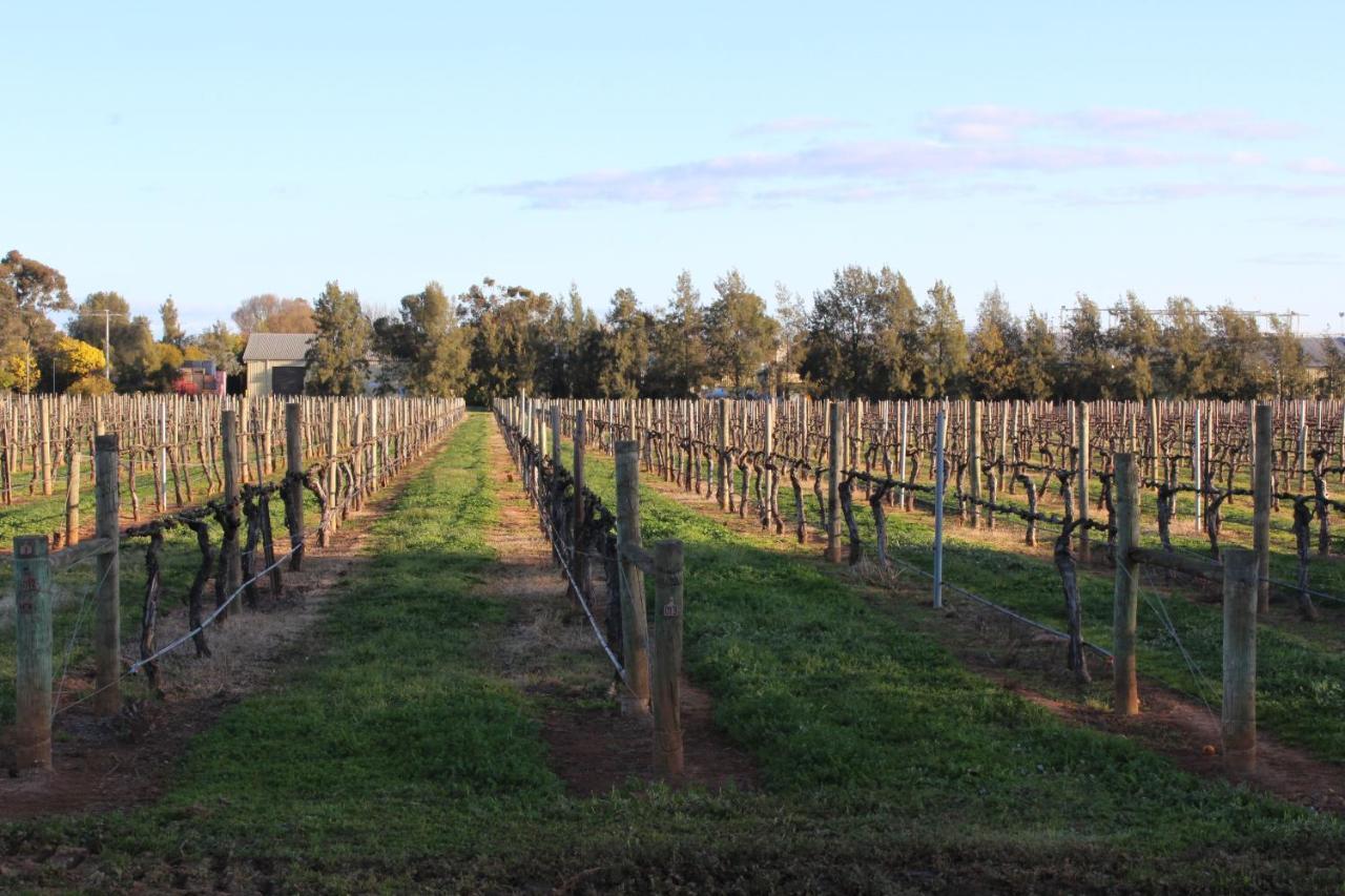 Milawa Vineyard Views - Guesthouse 1 Exterior foto